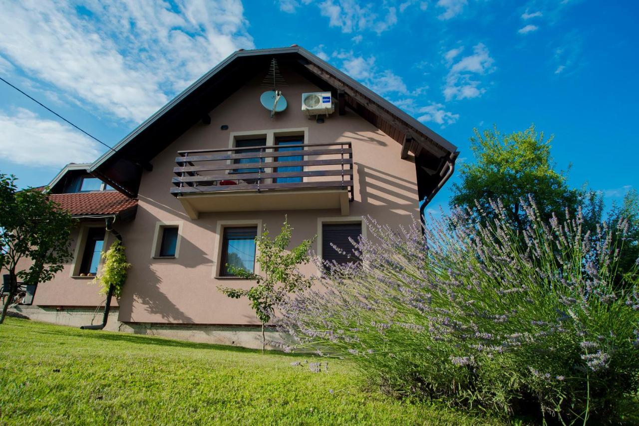Studio Apartment Karlo Drežnik Grad Kültér fotó