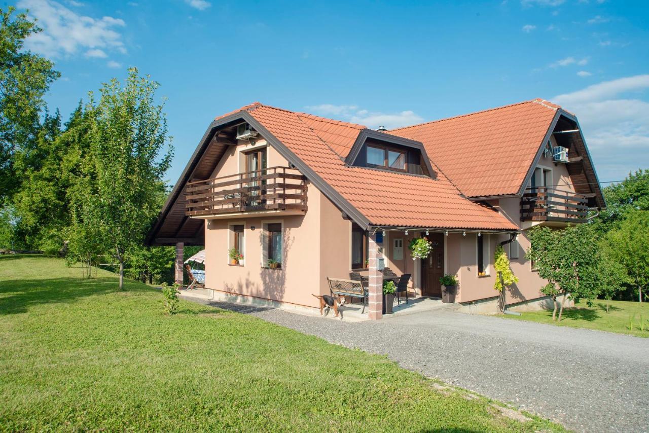 Studio Apartment Karlo Drežnik Grad Kültér fotó