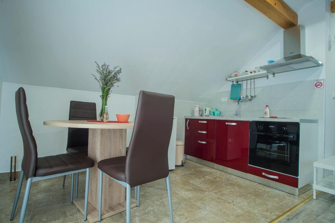 Studio Apartment Karlo Drežnik Grad Kültér fotó