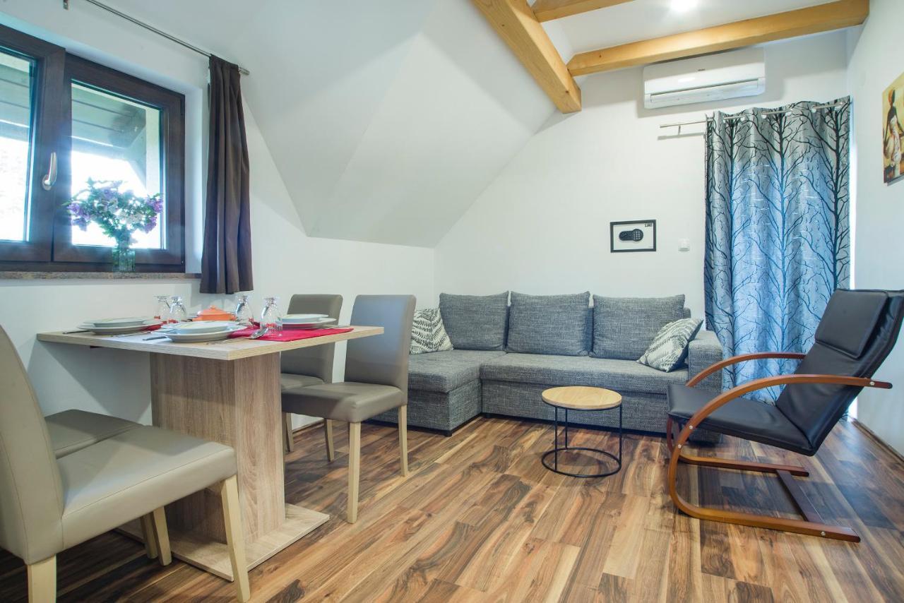 Studio Apartment Karlo Drežnik Grad Kültér fotó