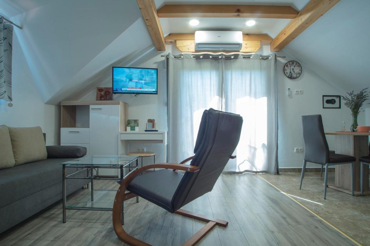 Studio Apartment Karlo Drežnik Grad Kültér fotó