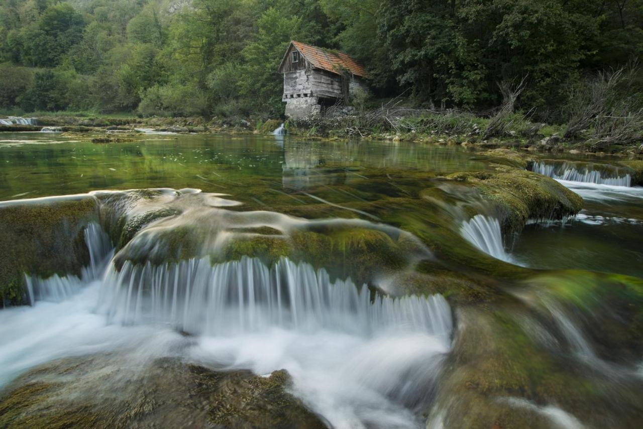 Studio Apartment Karlo Drežnik Grad Kültér fotó