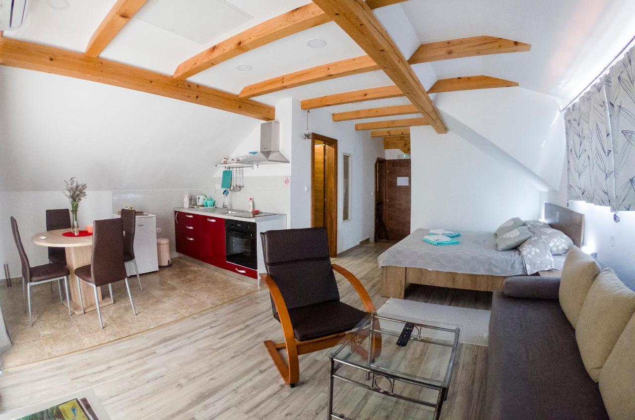 Studio Apartment Karlo Drežnik Grad Kültér fotó