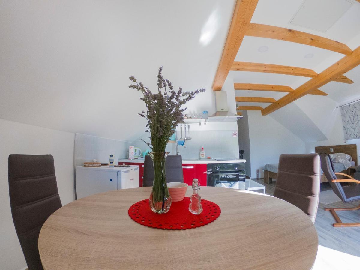Studio Apartment Karlo Drežnik Grad Kültér fotó