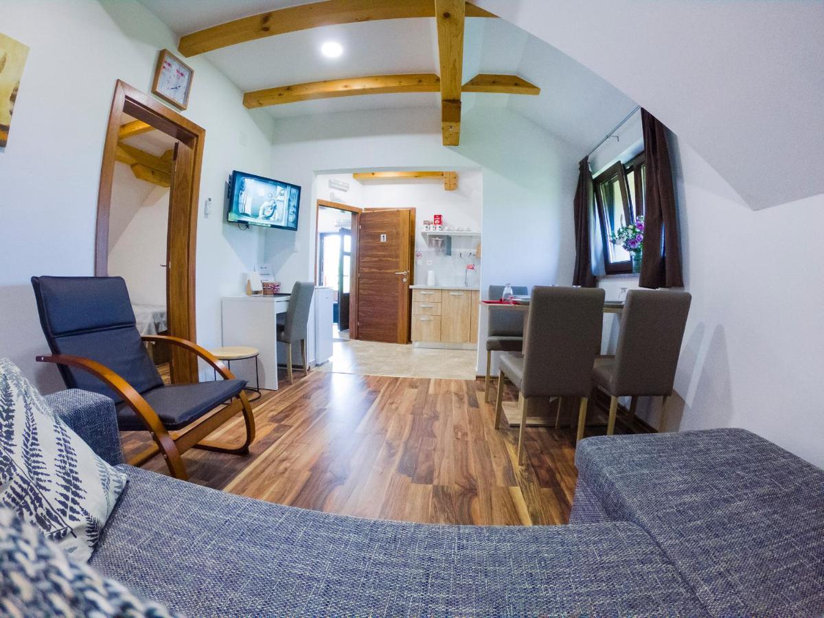 Studio Apartment Karlo Drežnik Grad Kültér fotó