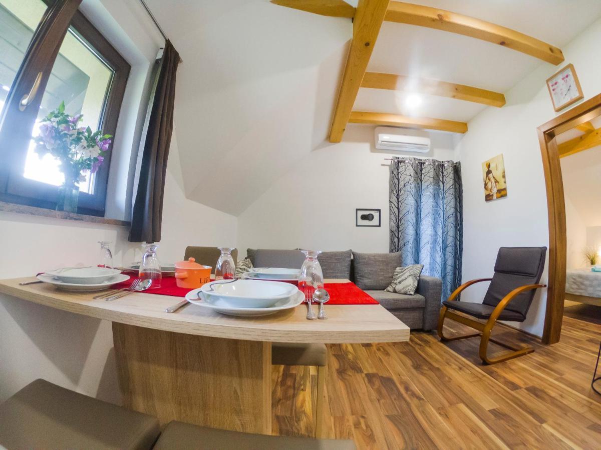 Studio Apartment Karlo Drežnik Grad Kültér fotó